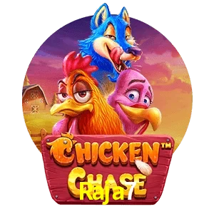 Raja7 — Chicken Chase crash game | Play on Android APK & iPhone for real money | Hacksaw Gaming